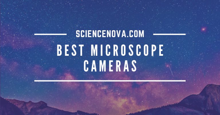 Best Microscope Cameras